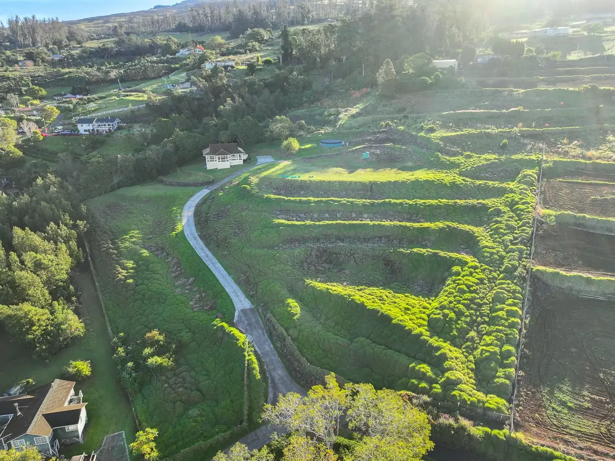 210 Napoko Pl, Kula, HI 96790 - #1