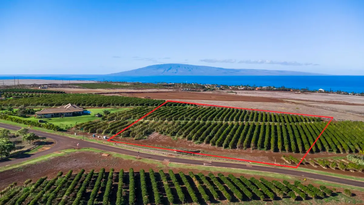 517 Oka Kope St, Lahaina, HI 96761 - #1
