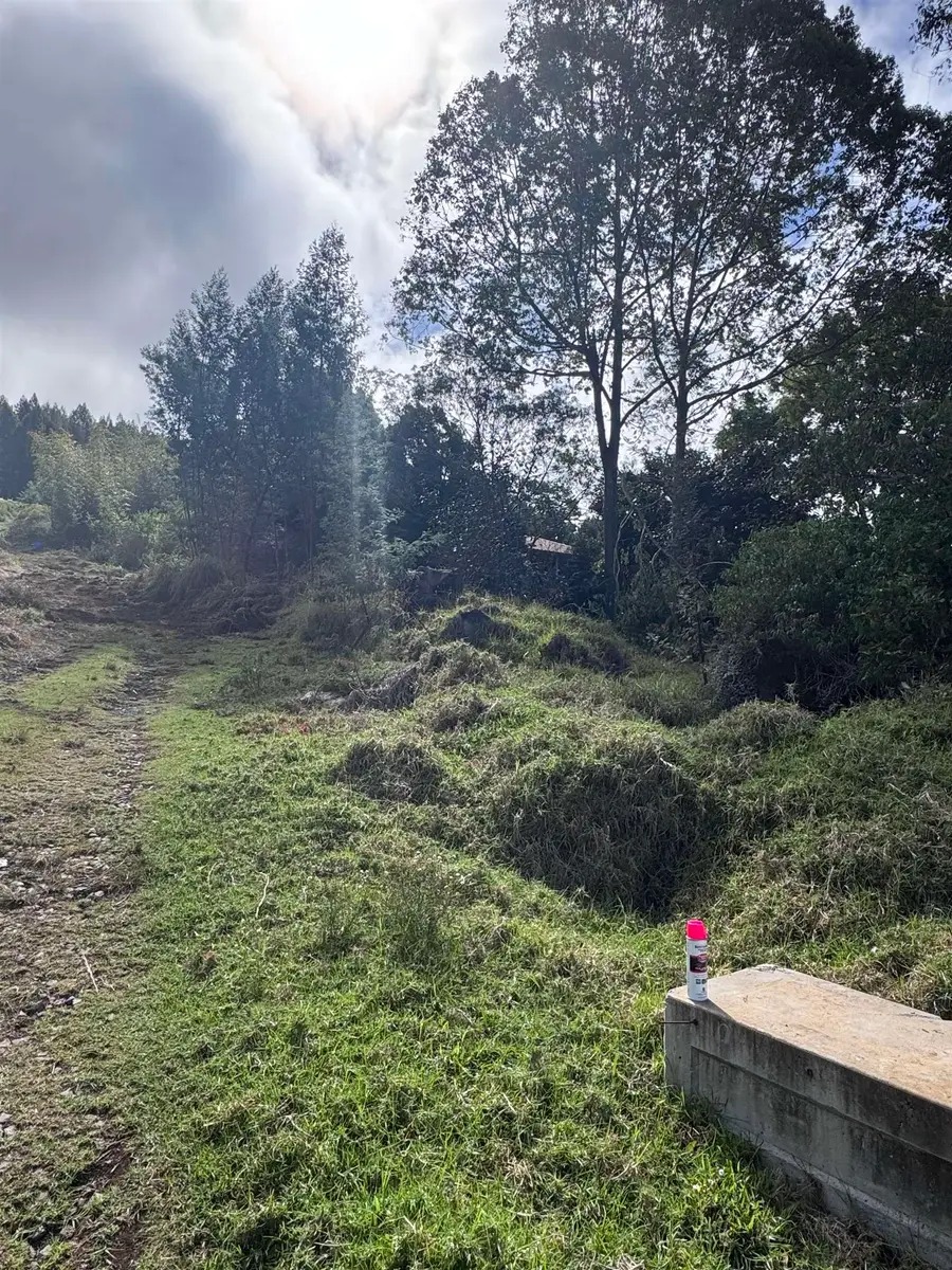 Middle Rd, Kula, HI 96790 - #2