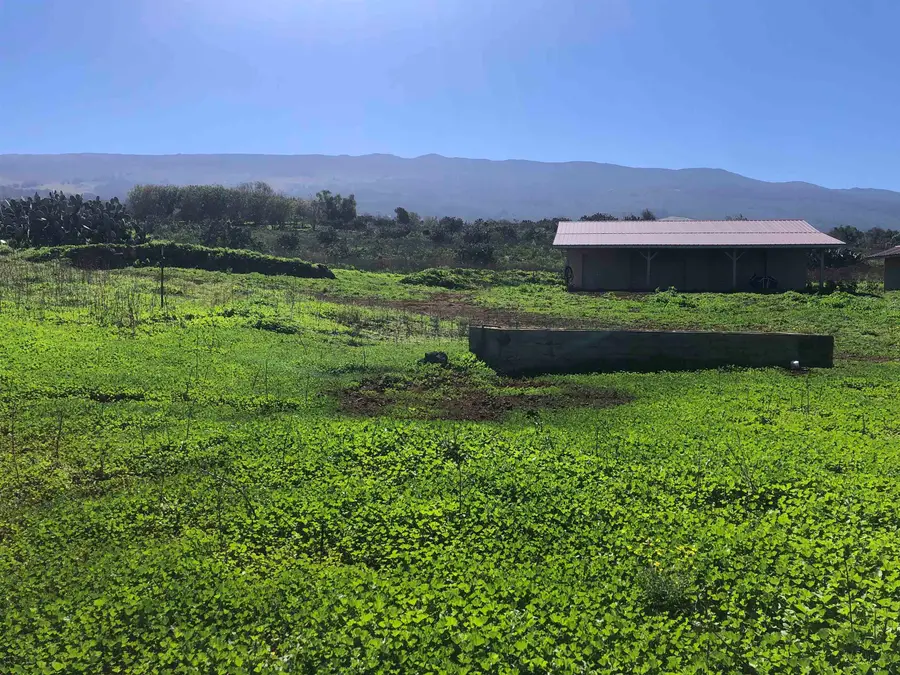0 Kula Hwy, Kula, HI 96790 - #3