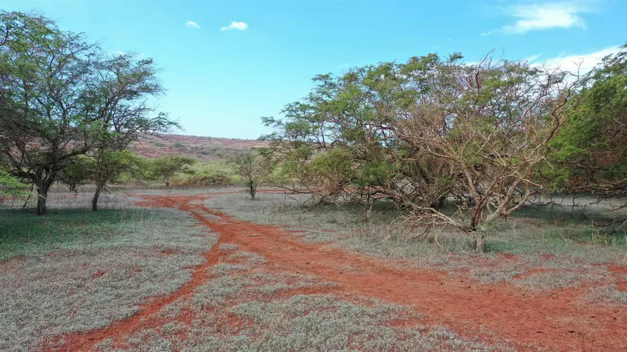 Hao Keehi Pl #Lot 222, Maunaloa, HI 96770 - #2