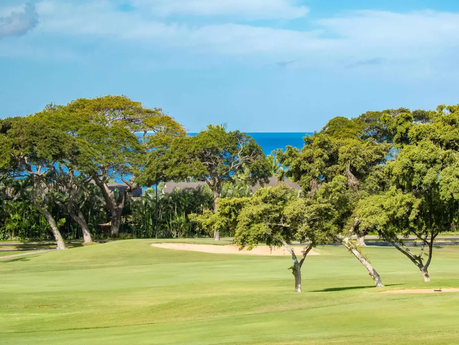 155 Wailea Ike Pl #145, Kihei, HI 96753 - #3