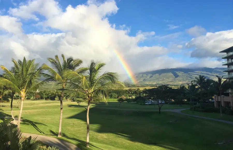 130 Kai Malina Pkwy #NR202, Lahaina, HI 96761 - #3