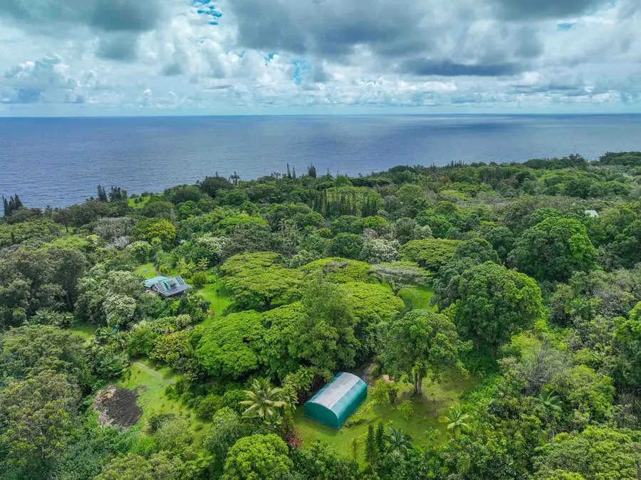 1600 Lower Nahiku Rd, Hana, HI 96713 - #3