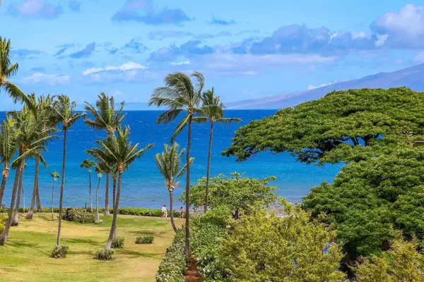 3445 Lower Honoapiilani Rd #530, Lahaina, HI 96761