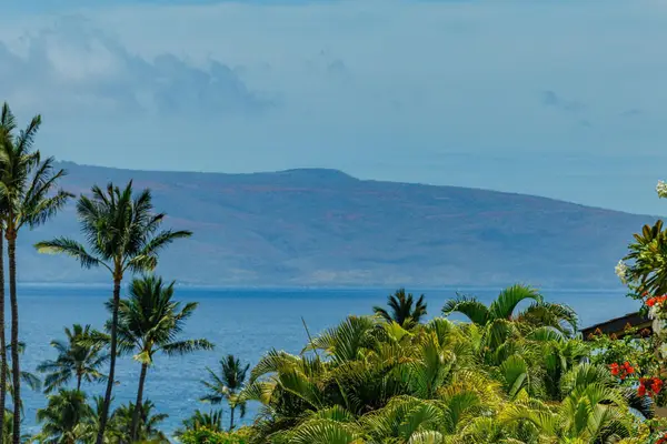 3300 Wailea Alanui Dr #41B, Kihei, HI 96753