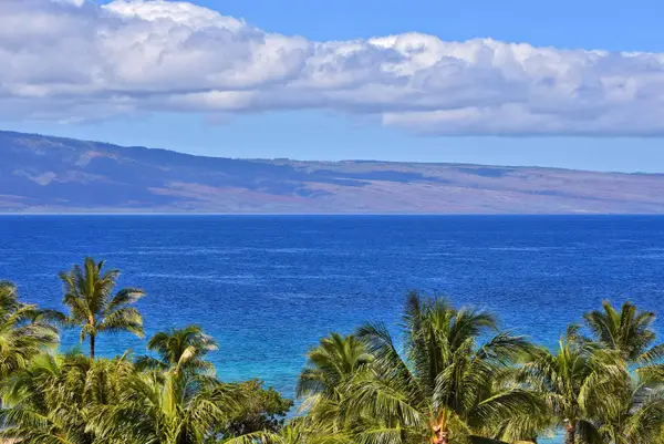 130 Kai Malina Pkwy #NR609, Lahaina, HI 96761