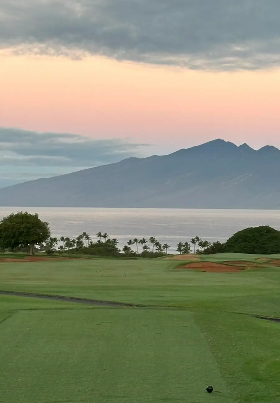 116 Pulelehua St #1, Lahaina, HI 96761 - #2