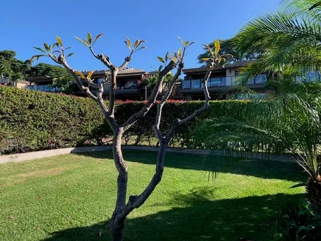 3600 Wailea Alanui Dr #2201, Kihei, HI 96753 - #3