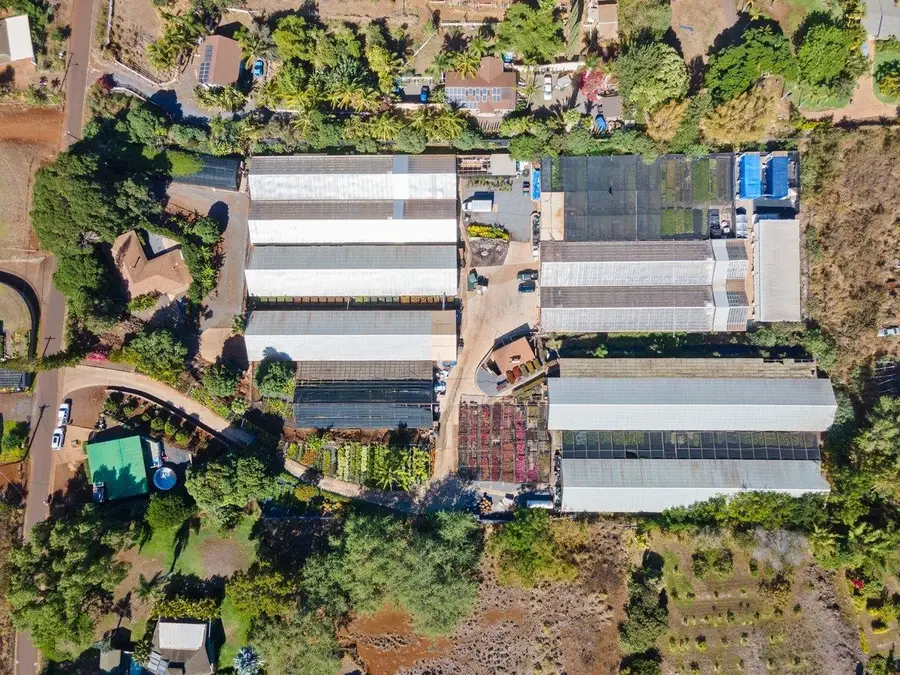 248 Piliwale Rd, Kula, HI 96790 - #2