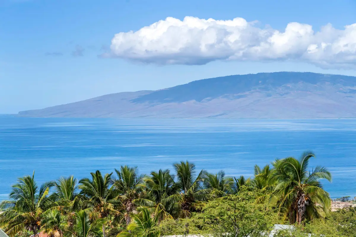 60 E Huapala Pl #Unit B, Lahaina, HI 96761 - #1