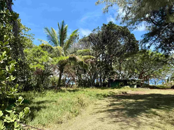 495 Haneoo Rd, Hana, HI 96713