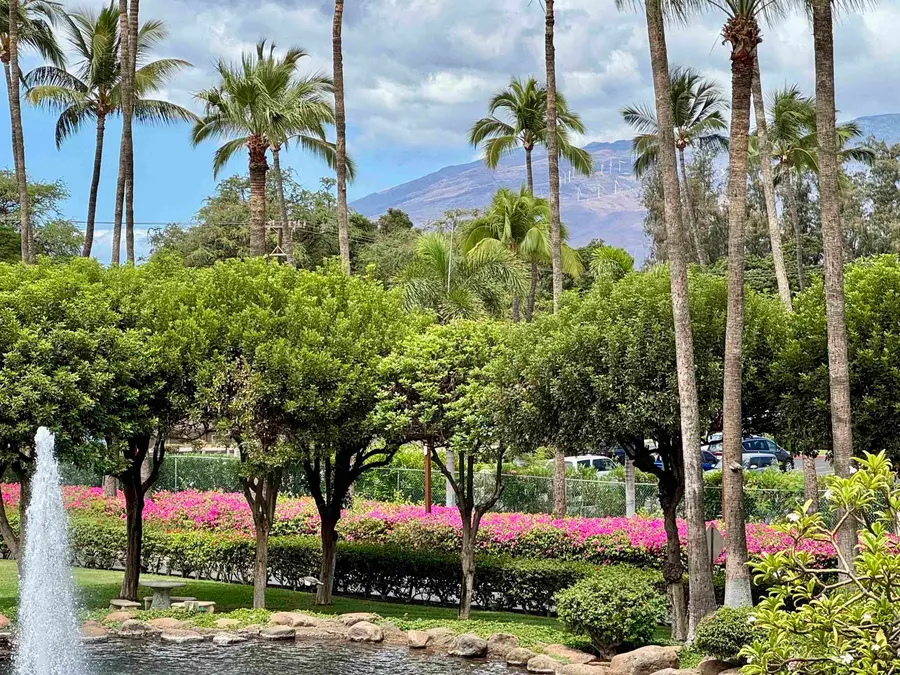 2695 S Kihei Rd #10213, Kihei, HI 96753 - #3