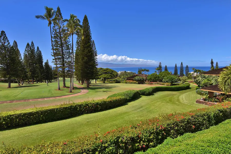 50 Puu Anoano St #1904, Lahaina, HI 96761 - #2