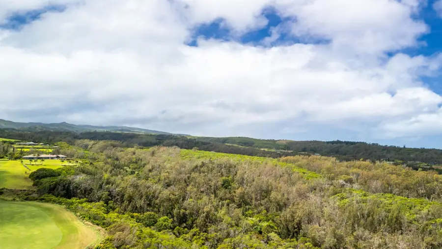 0 Plantation Estates Dr, Lahaina, HI 96761 - #2