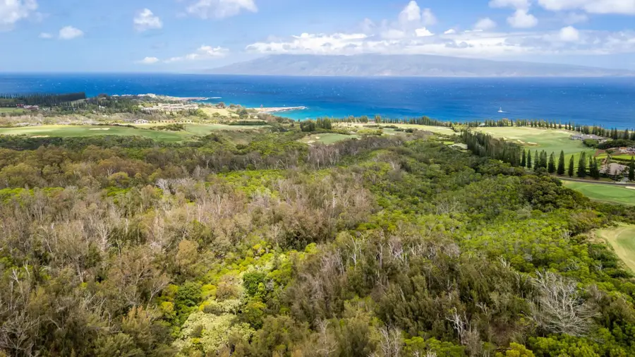 0 Plantation Estates Dr, Lahaina, HI 96761 - #3