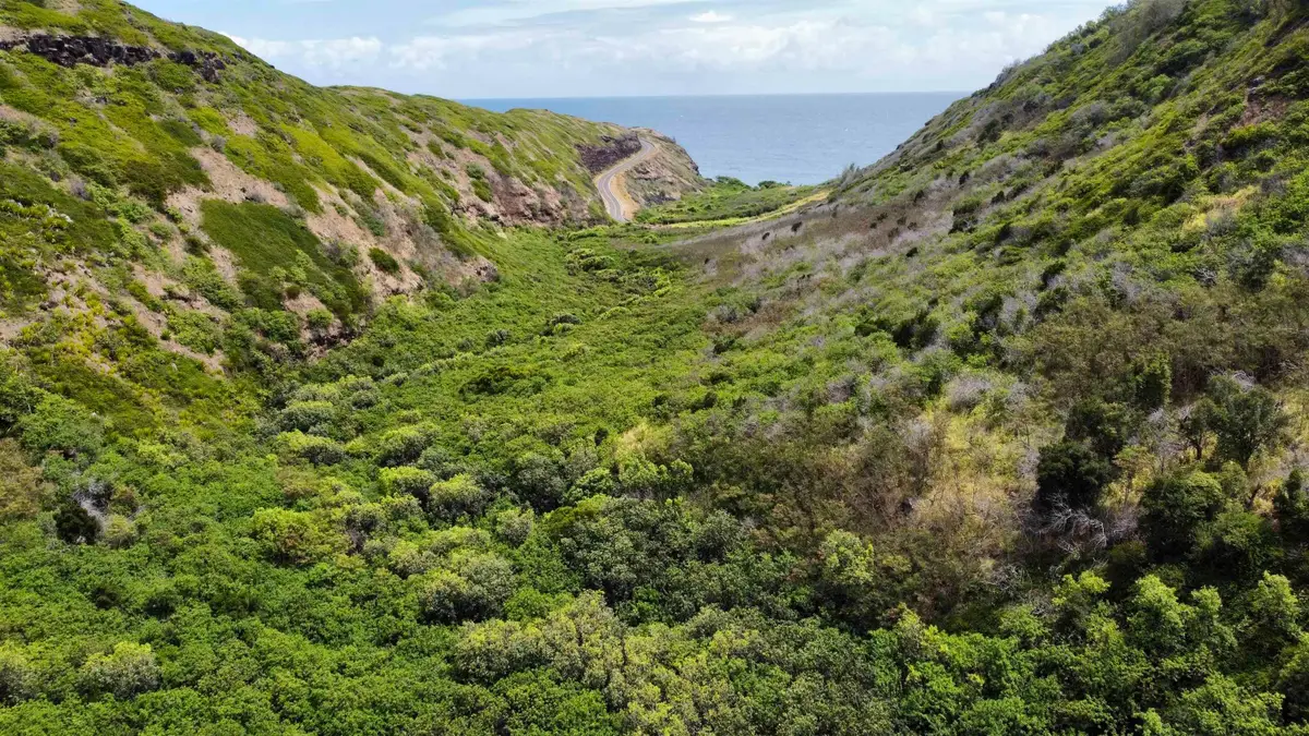0 Kahakuloa Rd, Wailuku, HI 96793 - #1