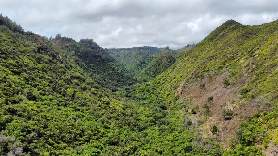 0 Kahakuloa Rd, Wailuku, HI 96793 - #2