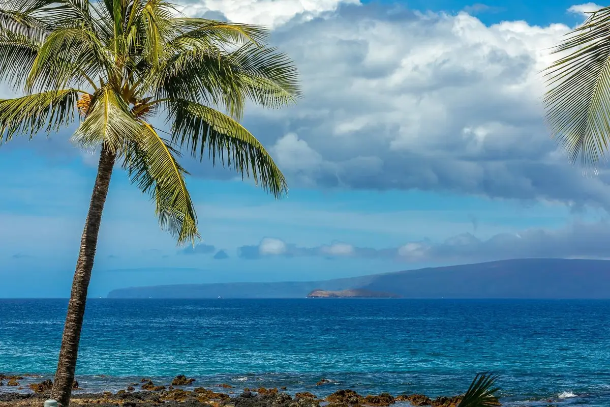 2936 S Kihei Rd #613, Kihei, HI 96753 - #1