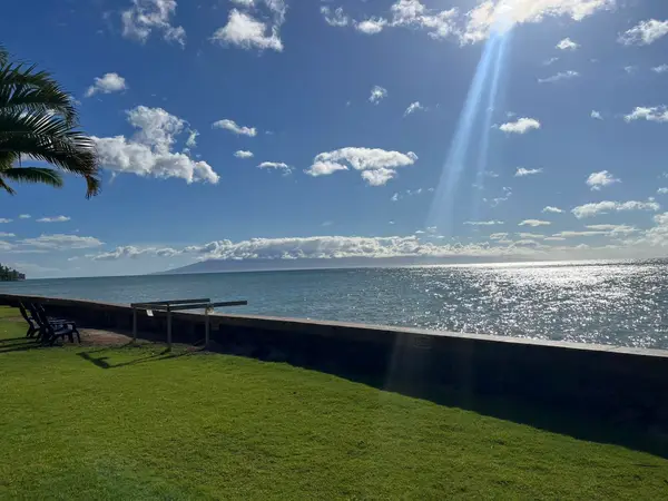 4435 Lower Honoapiilani Rd #225, Lahaina, HI 96761