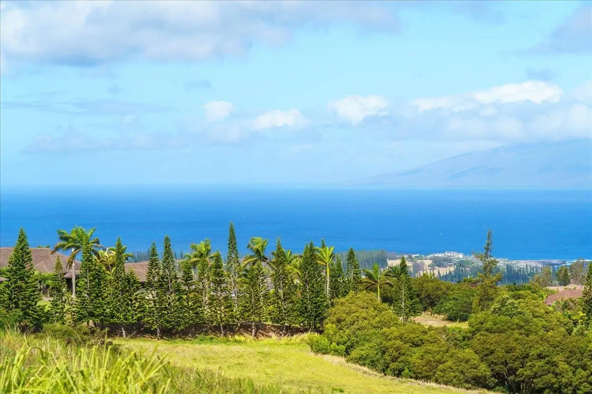 218 Keoawa St #16, Lahaina, HI 96761 - #1