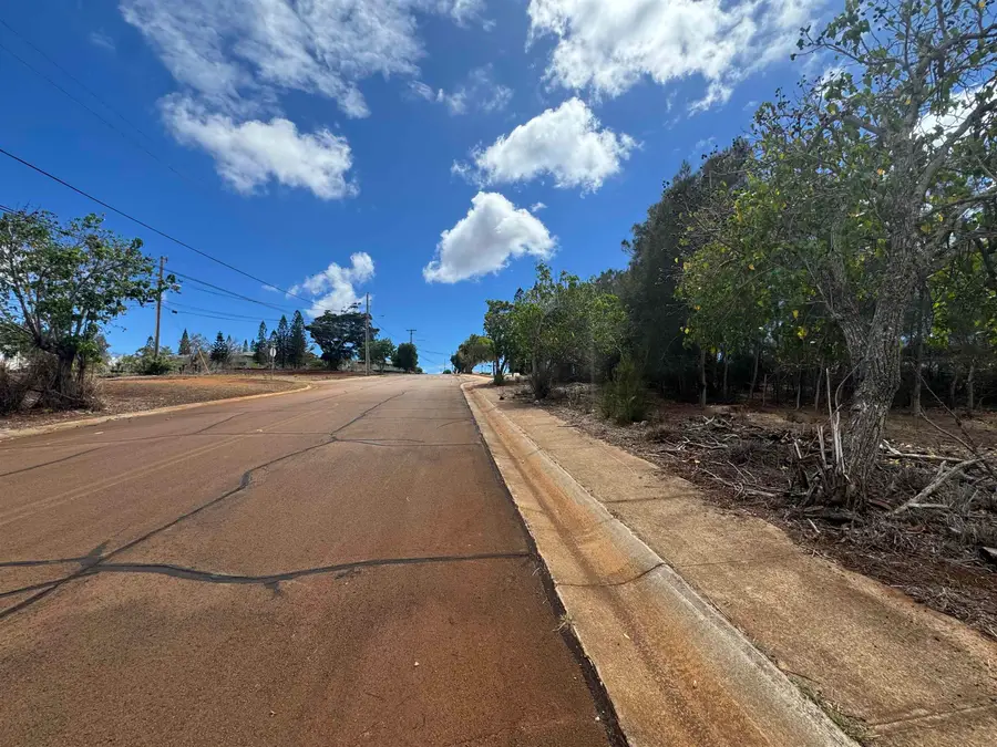 Kaana St #499, Maunaloa, HI 96770 - #2