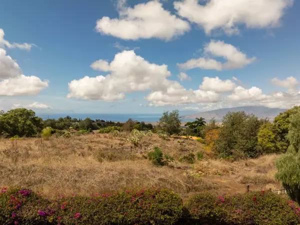 0 Holopuni Rd, Kula, HI 96790