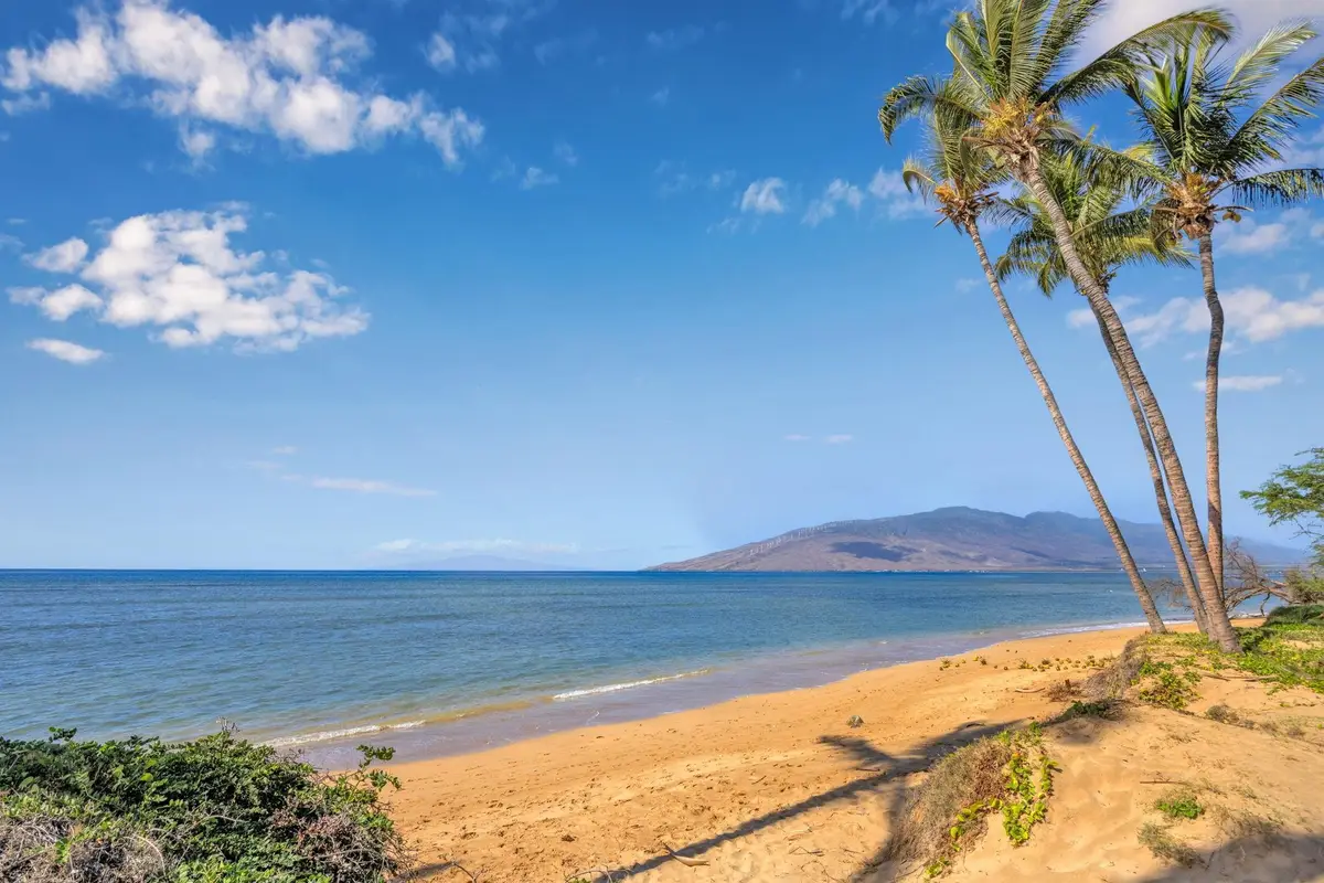 1450 S Kihei Rd #F 201, Kihei, HI 96753 - #1
