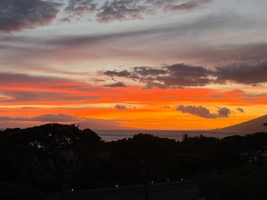 60 Kai Malu Dr #202 (11D), Kihei, HI 96753 - #2