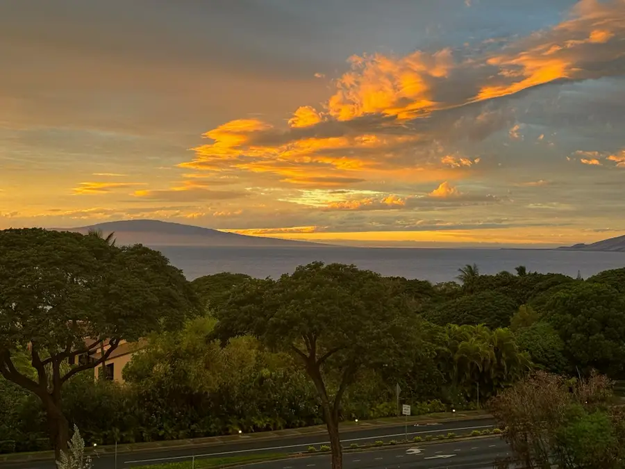 60 Kai Malu Dr #202 (11D), Kihei, HI 96753 - #3