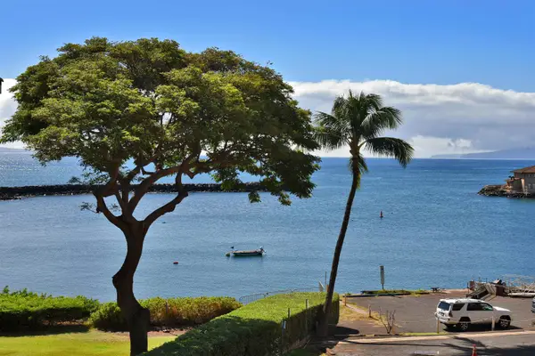 20 Hauoli St #305, Wailuku, HI 96793