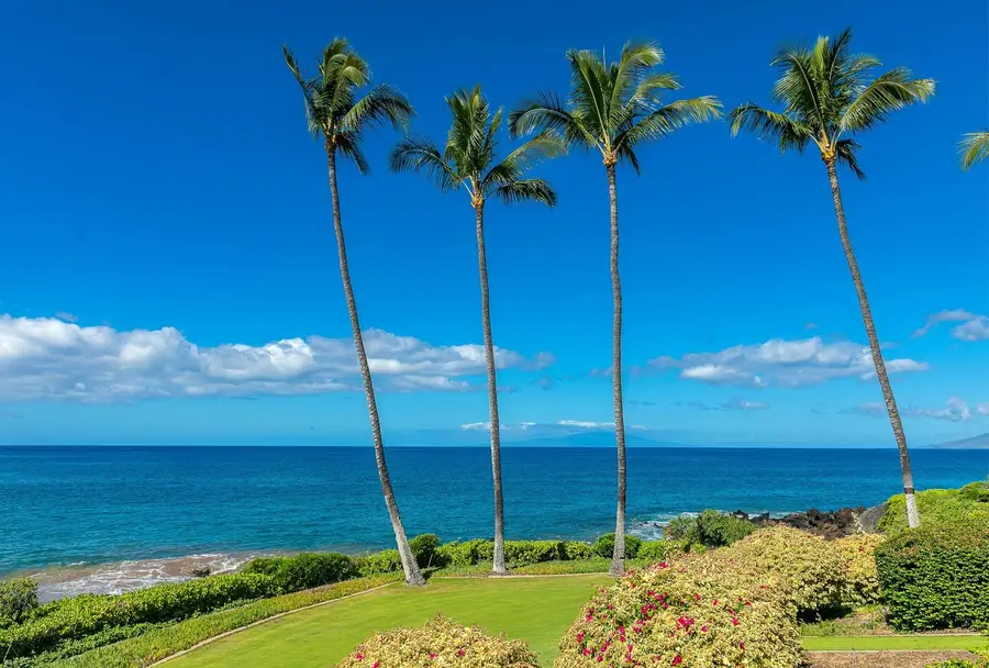 4000 Wailea Alanui Dr #1602, Kihei, HI 96753 - #3