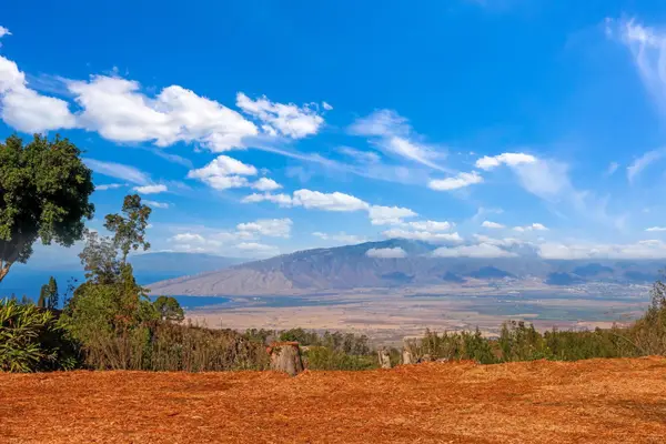 0 Haleakala Hwy #Unit 4, Kula, HI 96790
