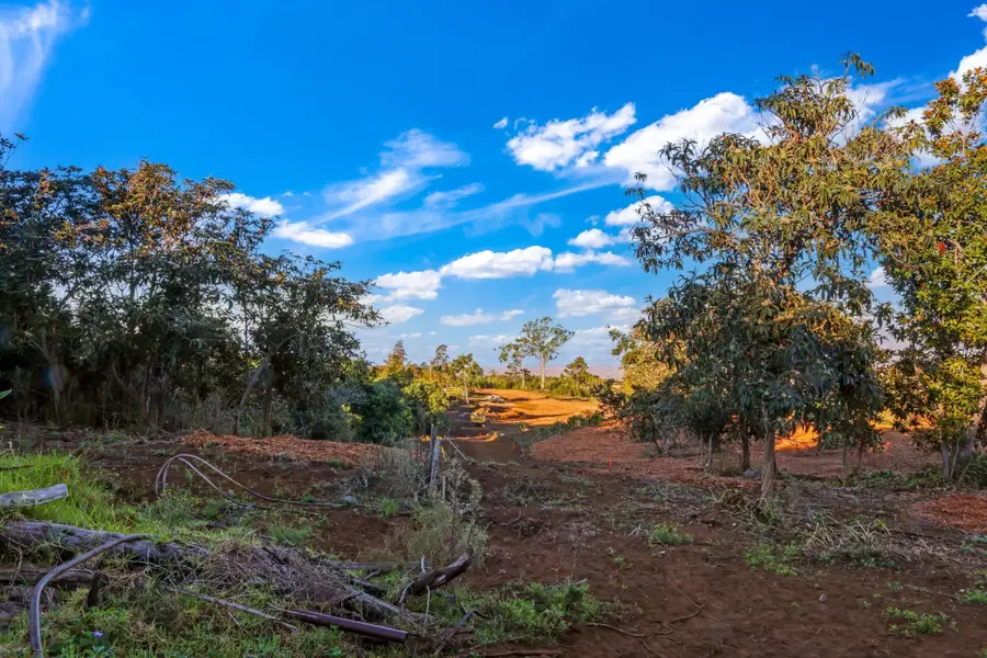 0 Haleakala Hwy #Unit 4, Kula, HI 96790 - #2