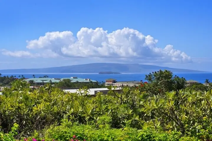 10 Wailea Ekolu Pl #105, Kihei, HI 96753 - #3