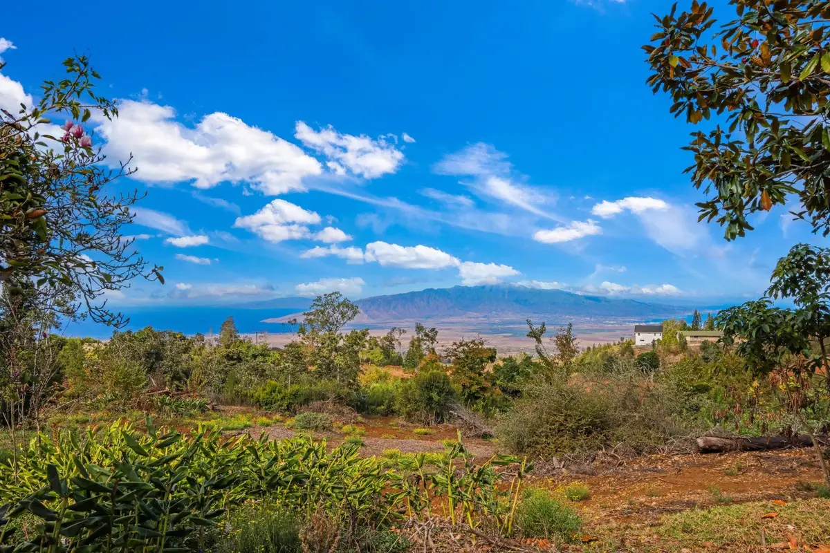 0 Haleakala Hwy #unit B, Kula, HI 96790 - #1