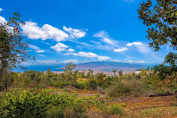 0 Haleakala Hwy #unit B, Kula, HI 96790