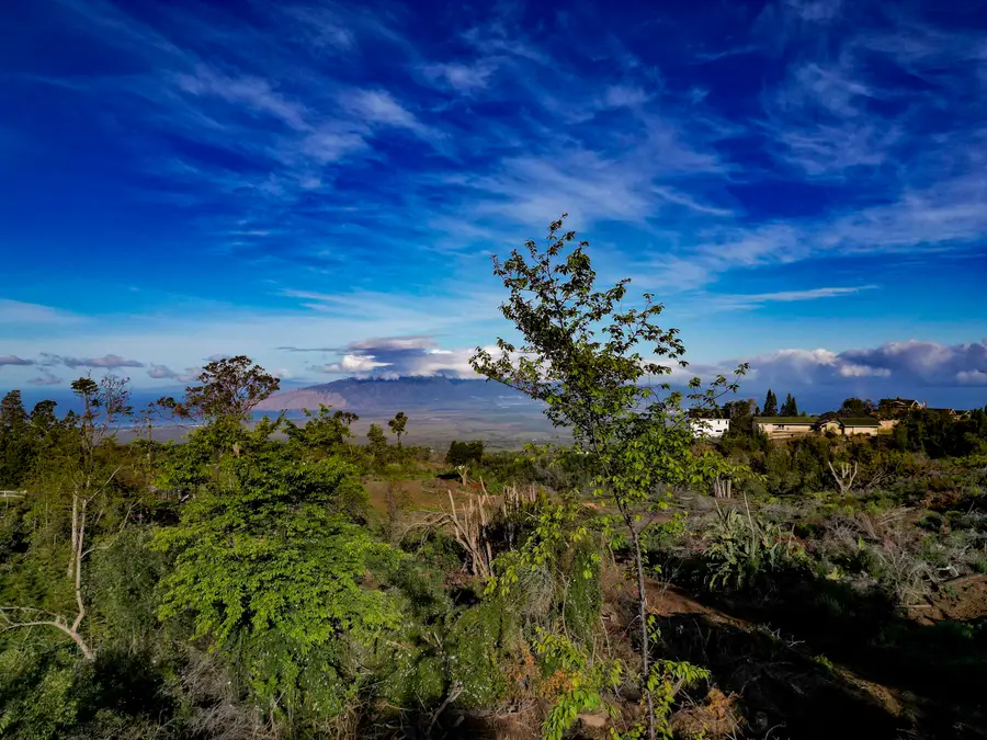 0 Haleakala Hwy #unit B, Kula, HI 96790 - #3