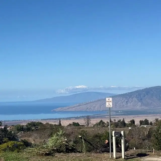 35 Kapalulu Pl, Kula, HI 96790 - #2