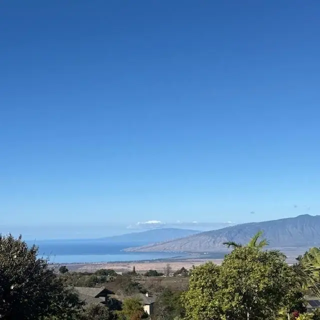 35 Kapalulu Pl, Kula, HI 96790 - #3