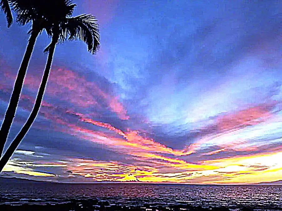 1310 Uluniu Rd #117, Kihei, HI 96753 - #2