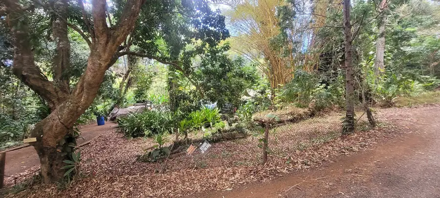 1448 W Kuiaha St, Haiku Pauwela, HI 96732 - #2