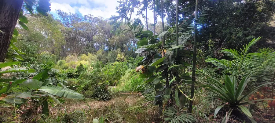 1448 W Kuiaha St, Haiku Pauwela, HI 96732 - #3