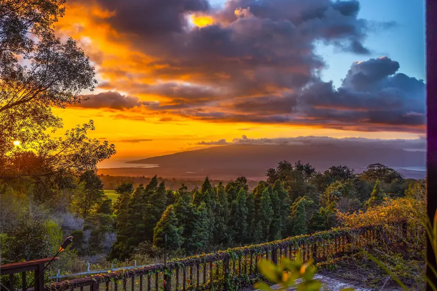 1854 Olinda Rd, Makawao, HI 96768 - #3