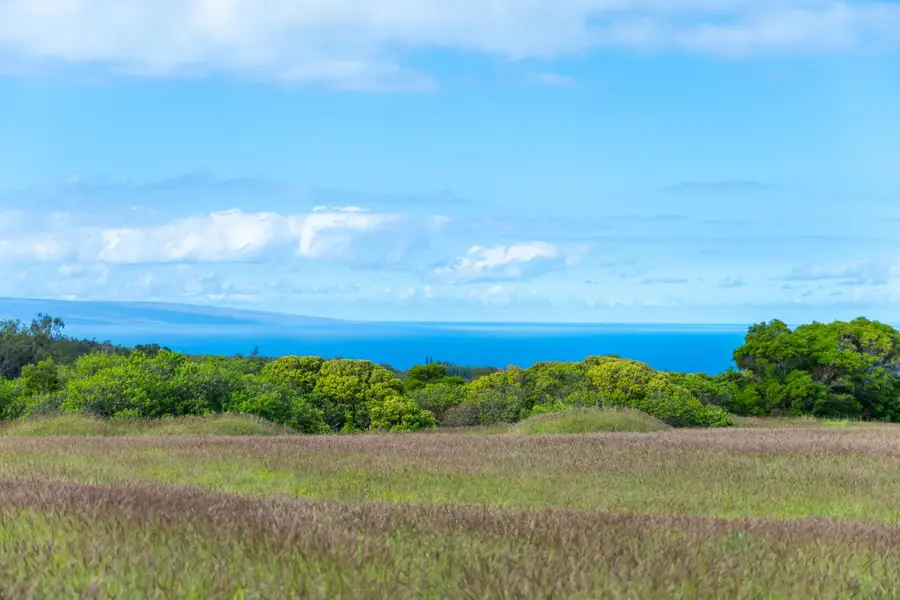238 Keoawa St #Lot 21, Lahaina, HI 96761 - #2