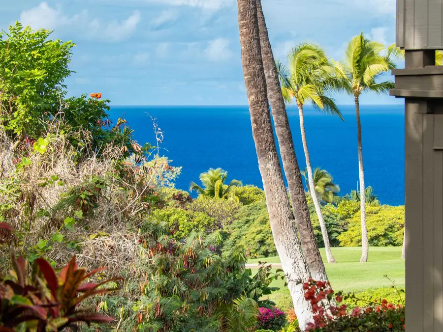 10 Wailea Ekolu Pl #1603, Kihei, HI 96753 - #2