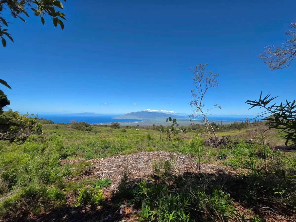 487 Cross Rd, Kula, HI 96790 - #1