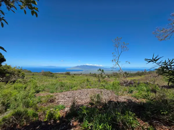 487 Cross Rd, Kula, HI 96790