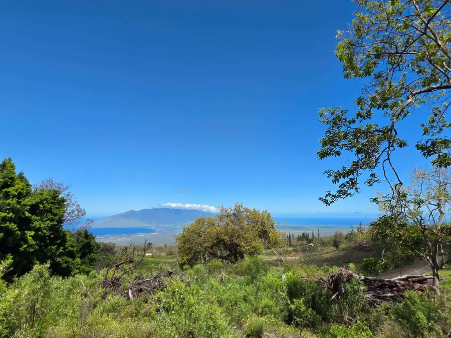 487 Cross Rd, Kula, HI 96790 - #3