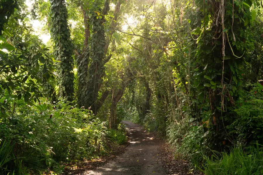 715 N Honokala Rd, Haiku, HI 96708 - #3